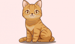 漫画 猫,喵星人的奇幻冒险之旅